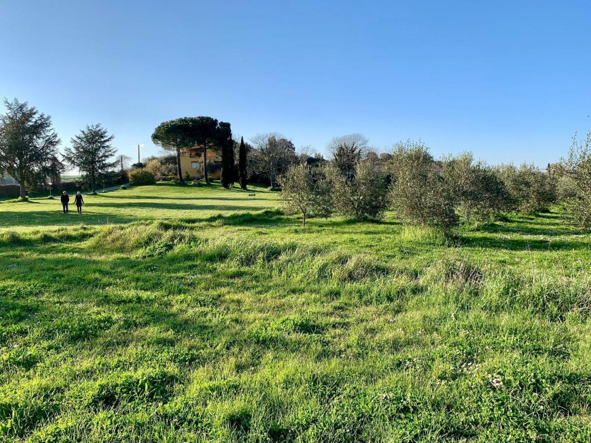 Il Casale Di Gardenia Bed & Breakfast Cesano Exterior photo